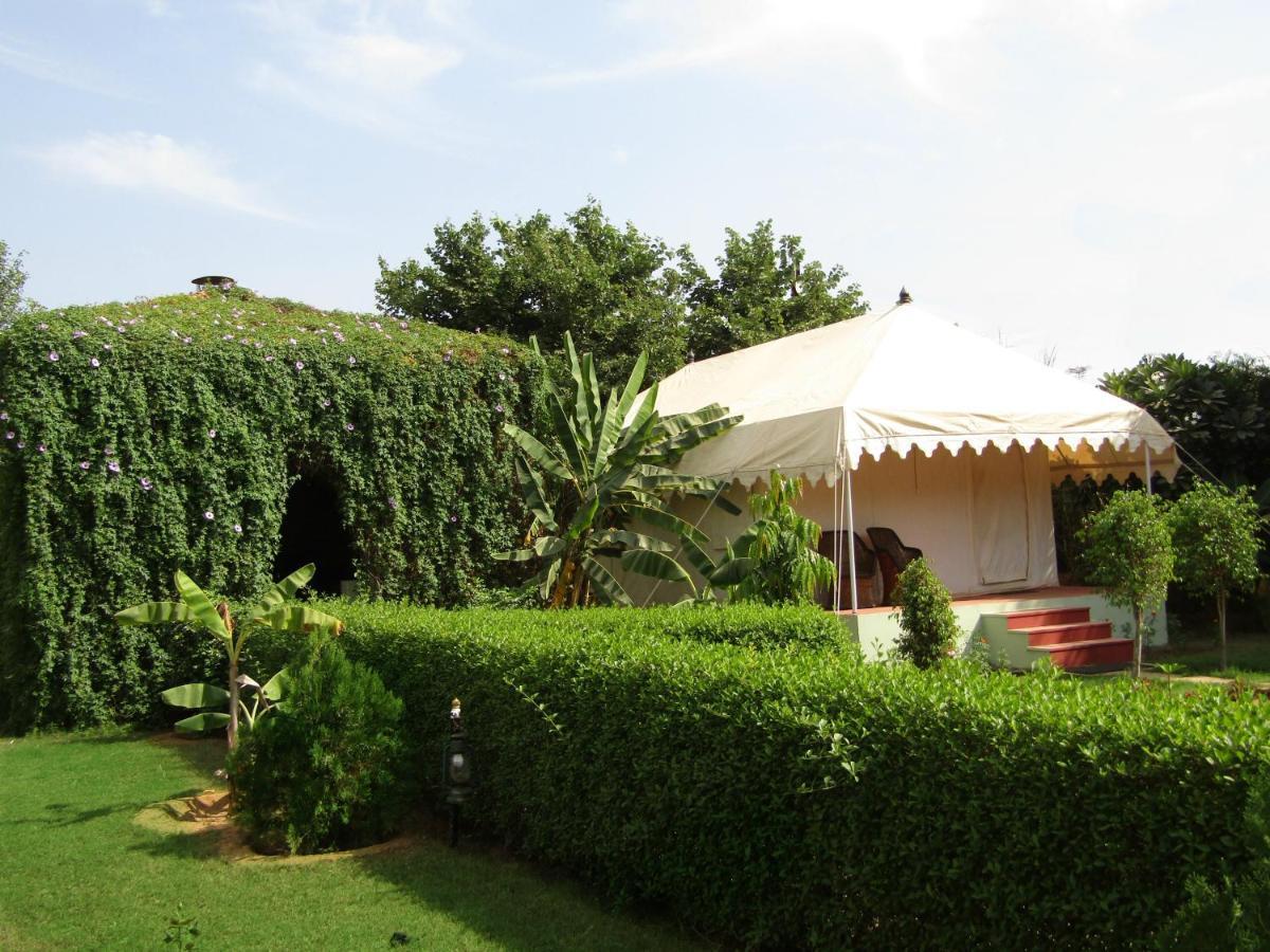 Jungle Retreat Ranthambore Hotel Sawai Madhopur Exterior photo